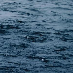 Free老太太hd性满足bDW
